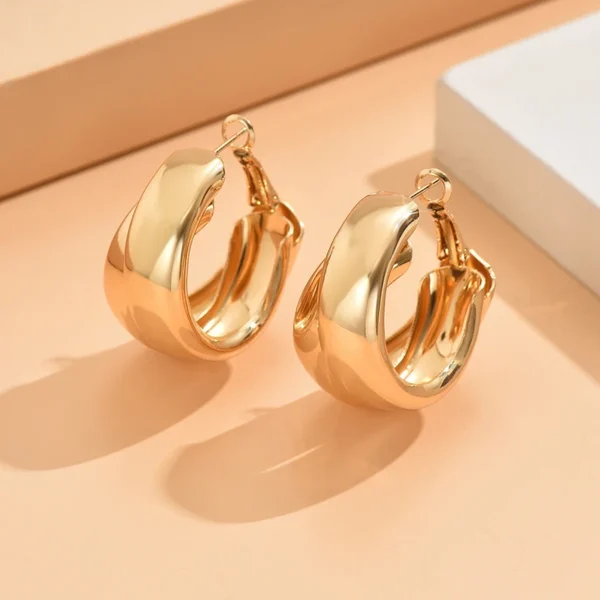 Stainless Steel Chunky Hoop Earrings for Women Girls Gold Color Double Ring Thick Geometric Drop Earrings Statement Jewelry Gift - Image 4