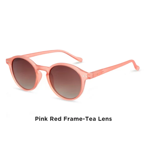 ZENOTTIC Retro Polarized Sunglasses 2023 2024 Men Women Vintage Small Round Frame Sun Glasses Polarized Lens UV400 Goggles Shade - Image 7